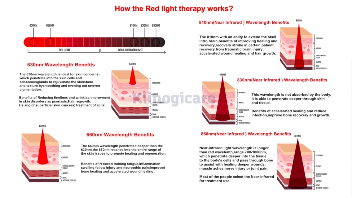 Schema der Wellenl&auml;ngen 660 nm und 850 nm in der Therapie mit rotem Licht und nahem Infrarot